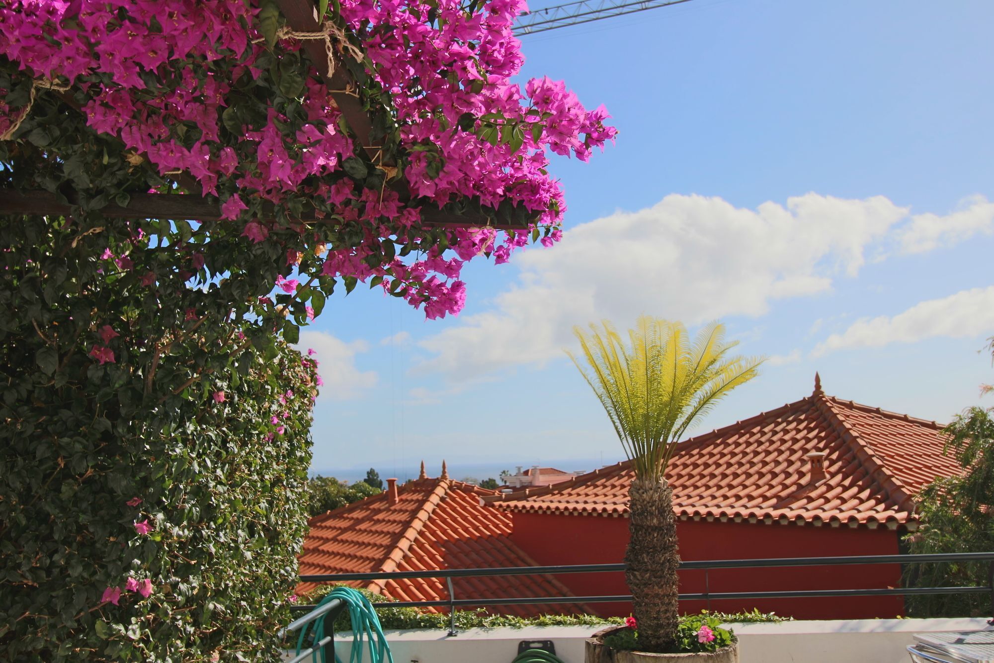 Guesthouse Vila Lusitania Funchal  Exterior photo